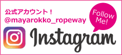 インスタグラムを見る