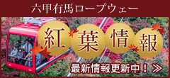 六甲・有馬 紅葉情報 名所や見頃など、紅葉に関する情報満載!